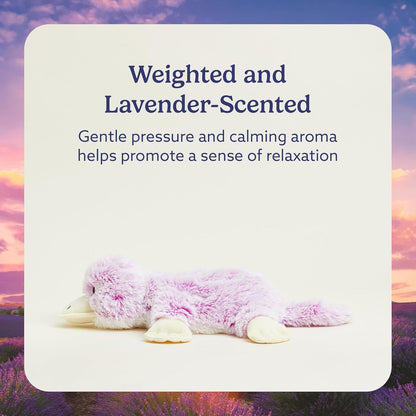 Microwavable & Weighted Stuffed Animals, Platypus - Heated Stuffed Animal Plushie for Warmth & Comfort - Cute Soft Plush Toys for Adults & Children (Boys, Girls, Babies & Toddlers)